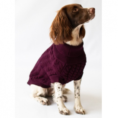 The Rascal Dog Jumper in Grape
